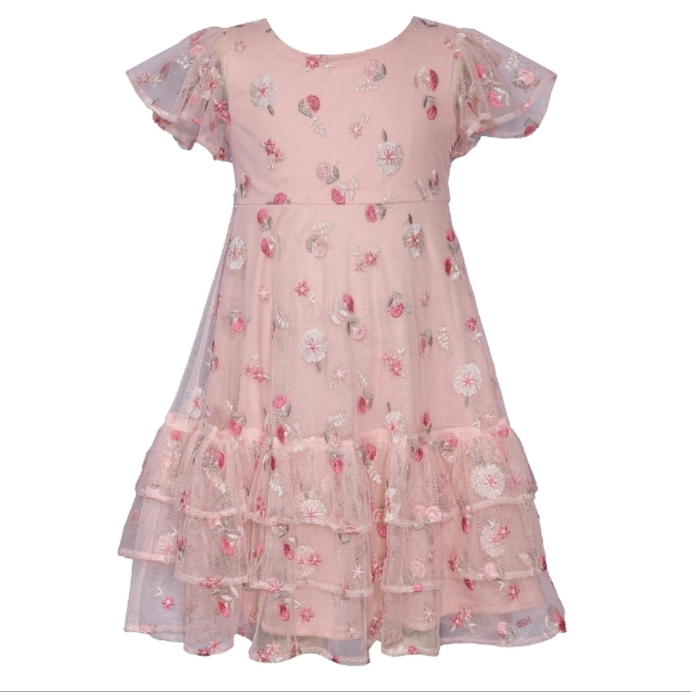 Embroidered Mesh Ruffle Dress
